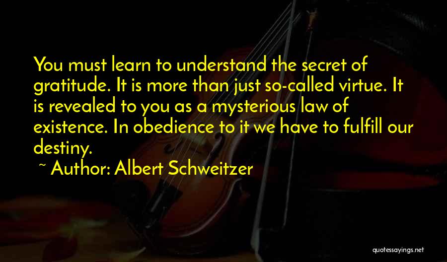 Schweitzer Quotes By Albert Schweitzer