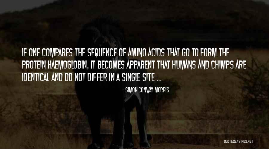 Schwenker Webshop Quotes By Simon Conway Morris Schwenker Webshop Quotes By Simon Conway Morris
