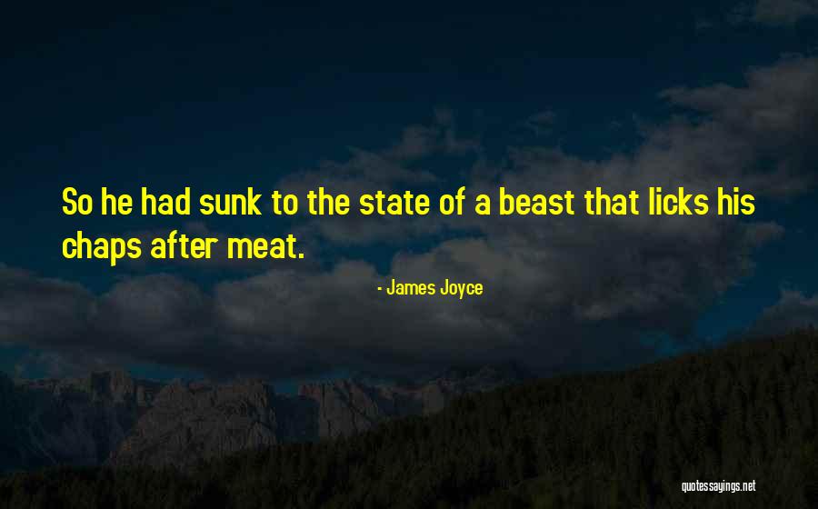 Schwerkraftmaschine Quotes By James Joyce Schwerkraftmaschine Quotes By James Joyce