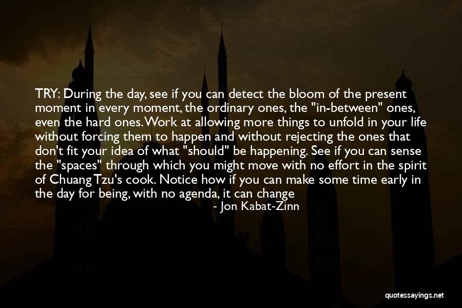 Schworer Vw Quotes By Jon Kabat-Zinn Schworer Vw Quotes By Jon Kabat-Zinn