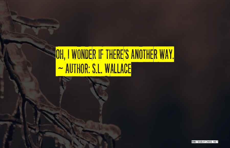 Sci-math Quotes By S.L. Wallace