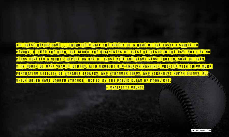 Sciambra New Orleans Quotes By Charlotte Bronte Sciambra New Orleans Quotes By Charlotte Bronte