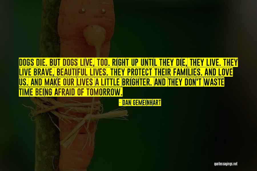 Sciatica Nerve Quotes By Dan Gemeinhart Sciatica Nerve Quotes By Dan Gemeinhart