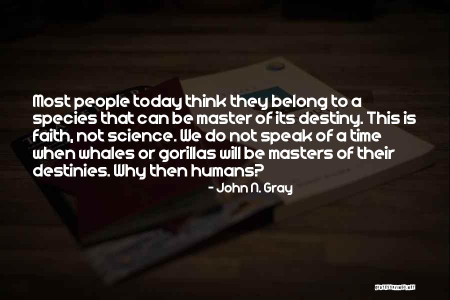 Scibetta Olive Oil Quotes By John N. Gray Scibetta Olive Oil Quotes By John N. Gray