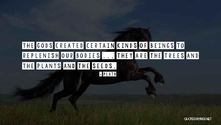 Science Anatomy Art Quotes By Plato Science Anatomy Art Quotes By Plato