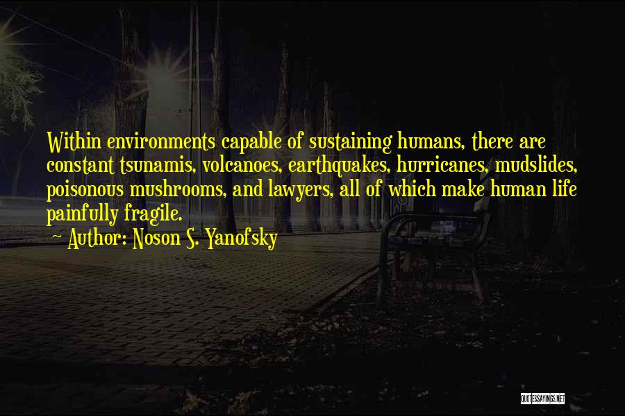 Science And Human Life Quotes By Noson S. Yanofsky