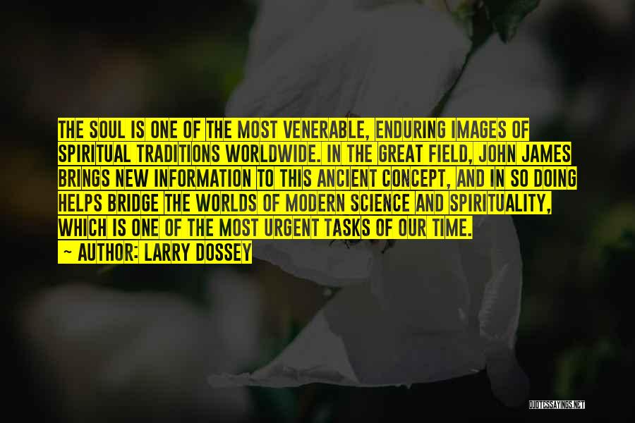 Science And Spirituality Quotes By Larry Dossey