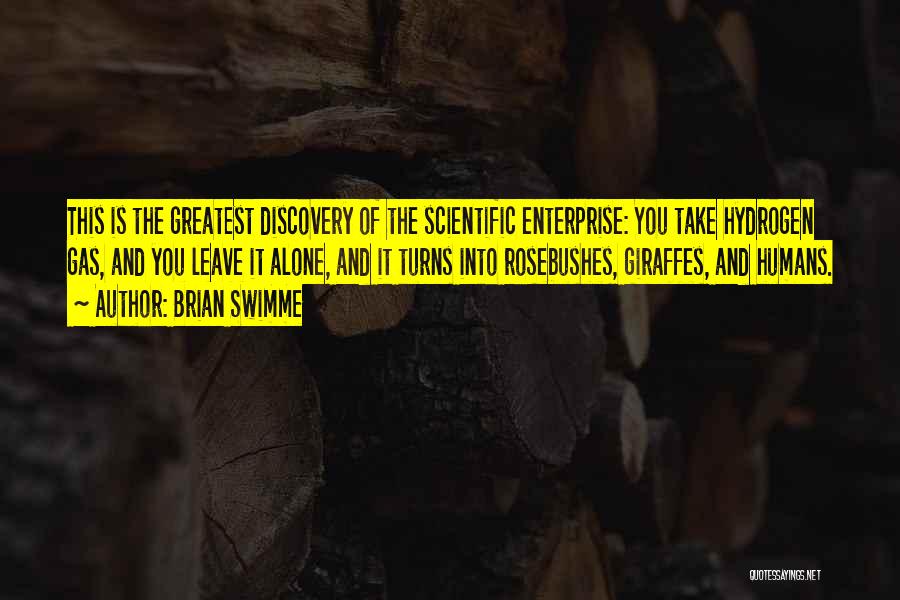 Scientific Discovery Quotes By Brian Swimme
