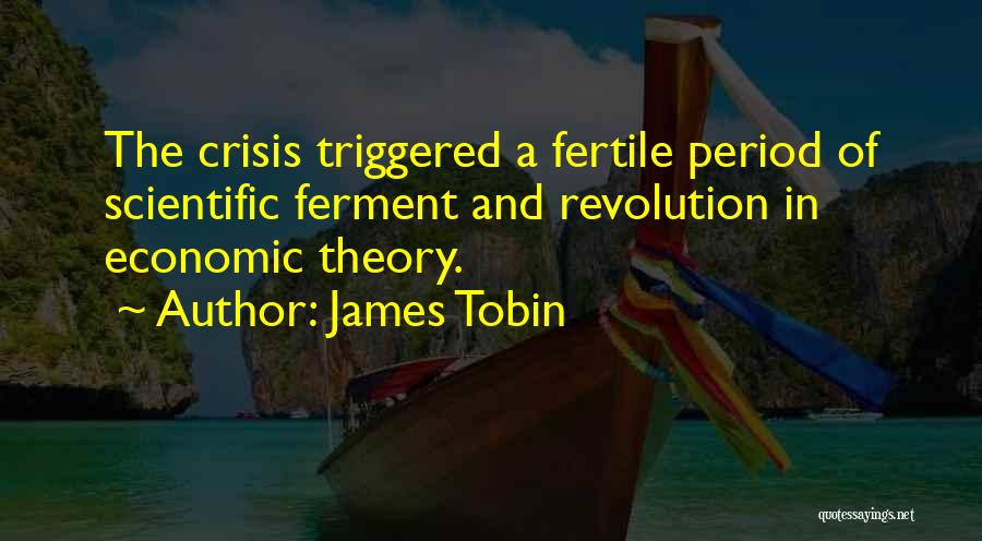 Scientific Revolution Quotes By James Tobin