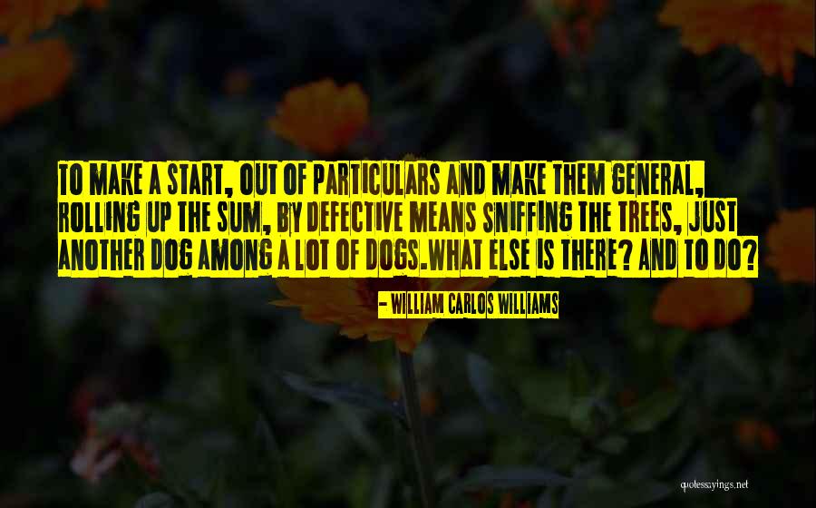 Scogna Quotes By William Carlos Williams Scogna Quotes By William Carlos Williams