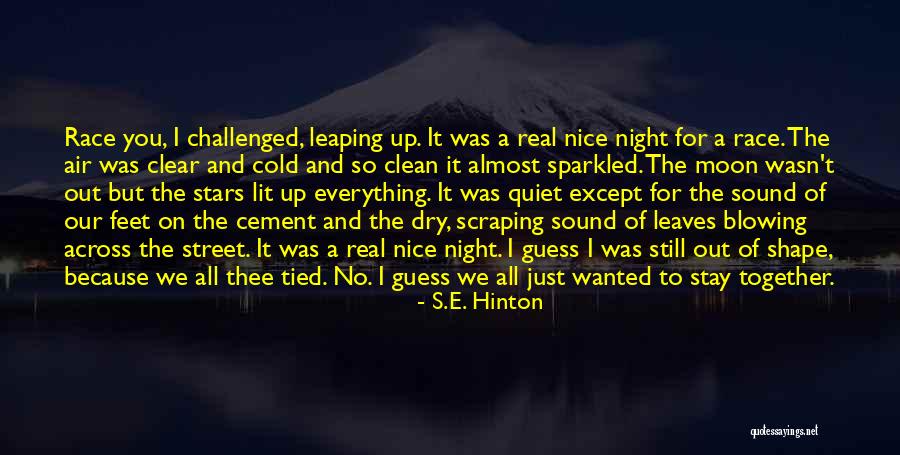 Scolastico Appraisals Quotes By S.E. Hinton Scolastico Appraisals Quotes By S.E. Hinton