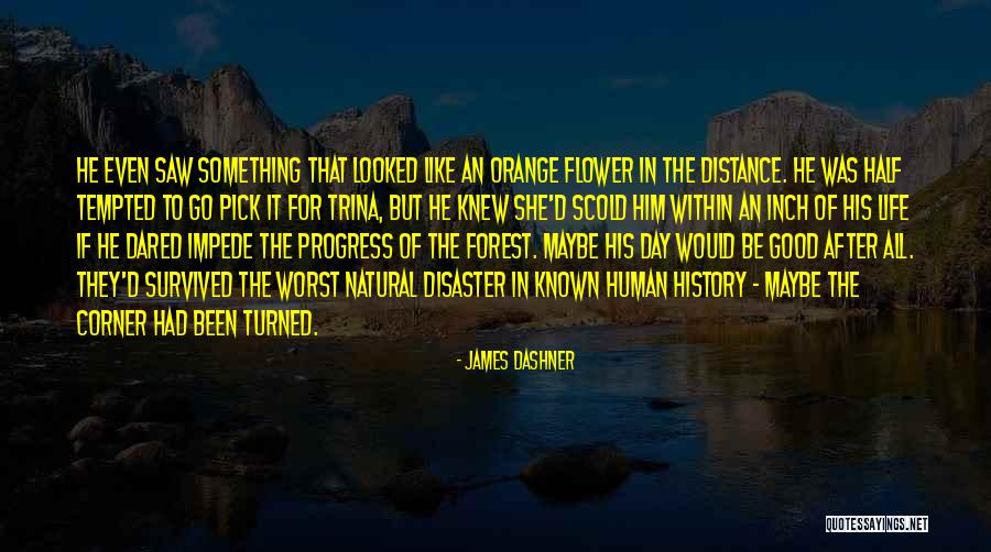 Scold Him Quotes By James Dashner Scold Him Quotes By James Dashner