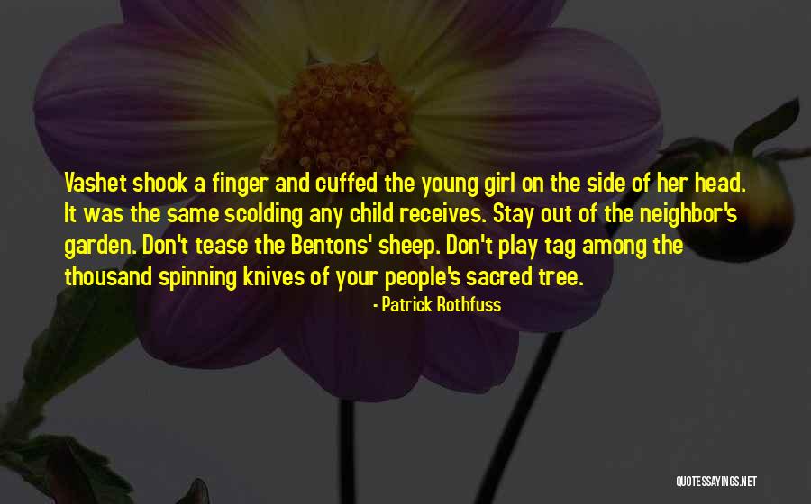 Scolding Myself Quotes By Patrick Rothfuss Scolding Myself Quotes By Patrick Rothfuss