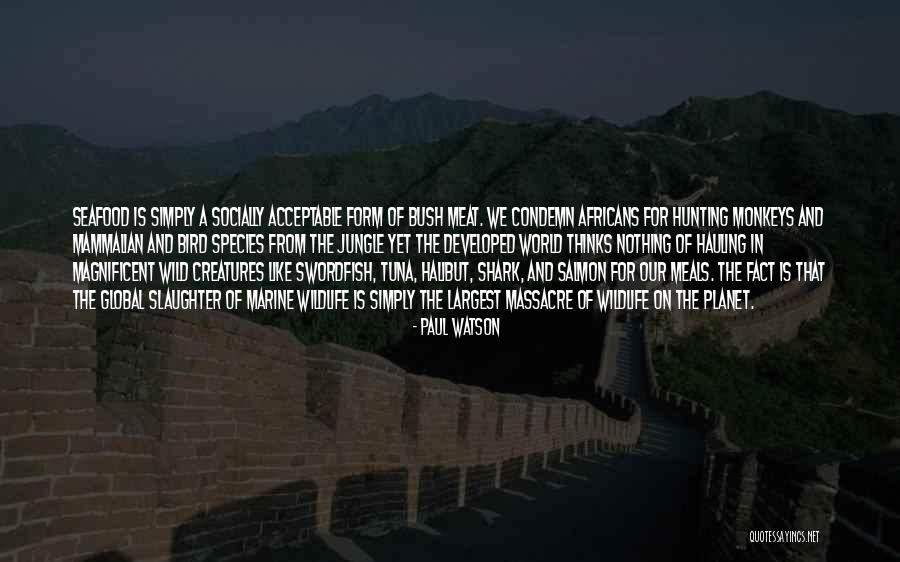 Scolds Severely Quotes By Paul Watson Scolds Severely Quotes By Paul Watson