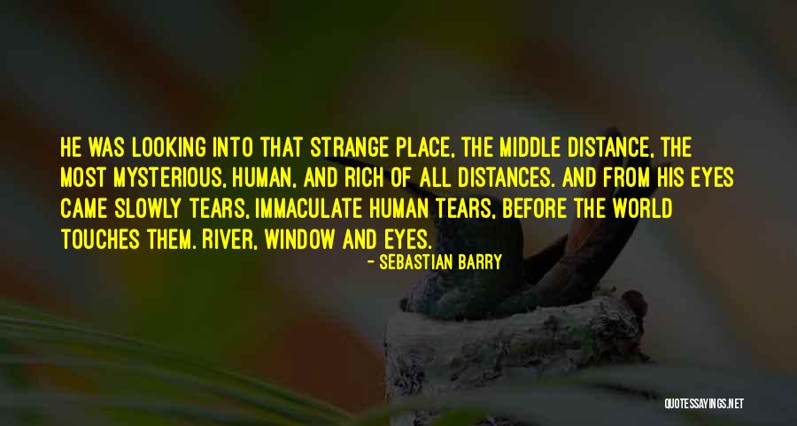 Sconfitta Su Quotes By Sebastian Barry Sconfitta Su Quotes By Sebastian Barry