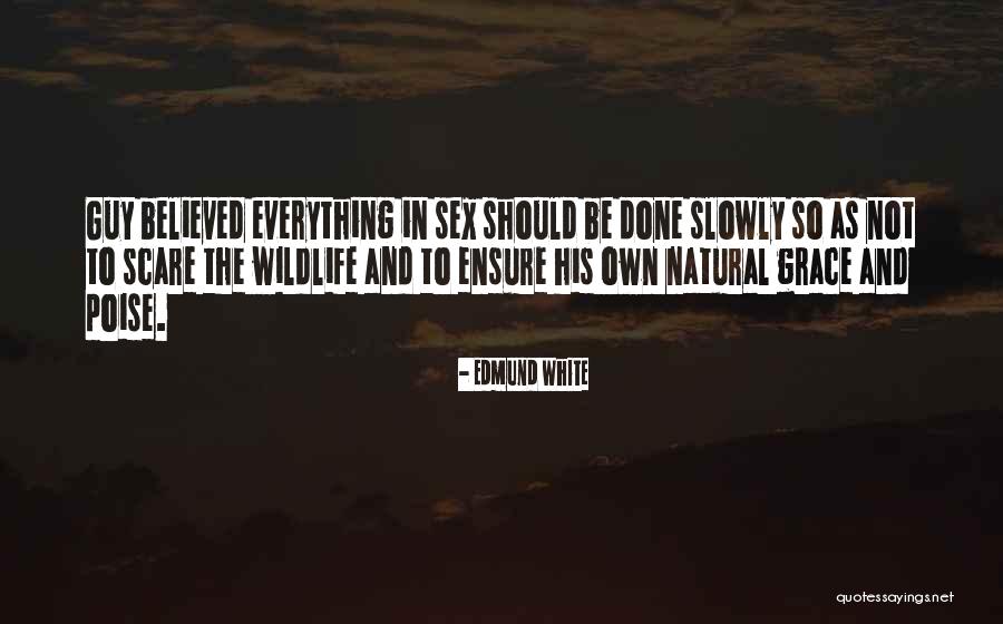 Scootin America Quotes By Edmund White Scootin America Quotes By Edmund White