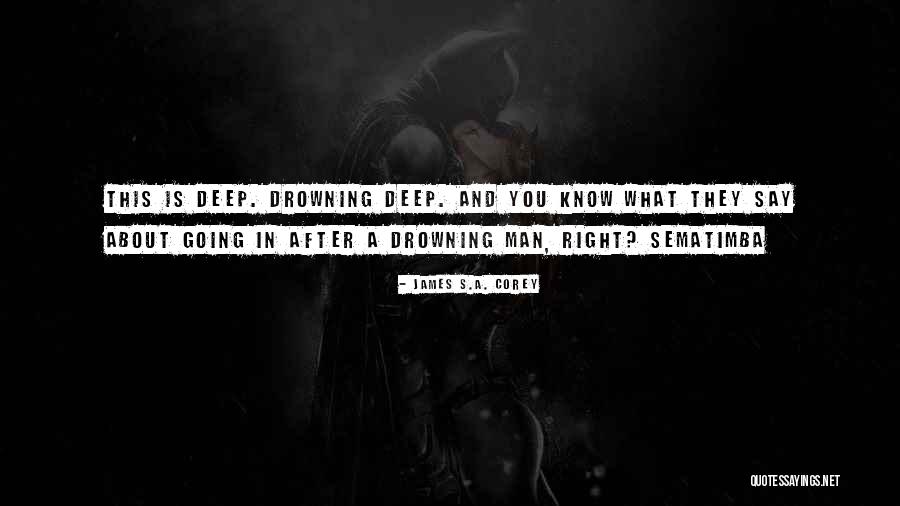 Scope Insensitivity Quotes By James S.A. Corey