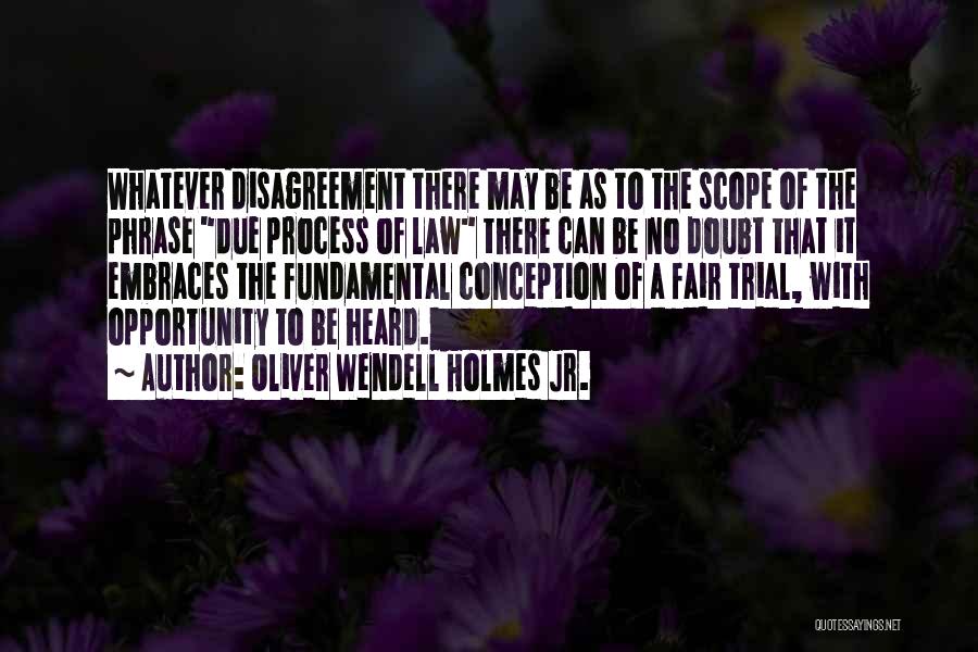 Scope Trial Quotes By Oliver Wendell Holmes Jr.