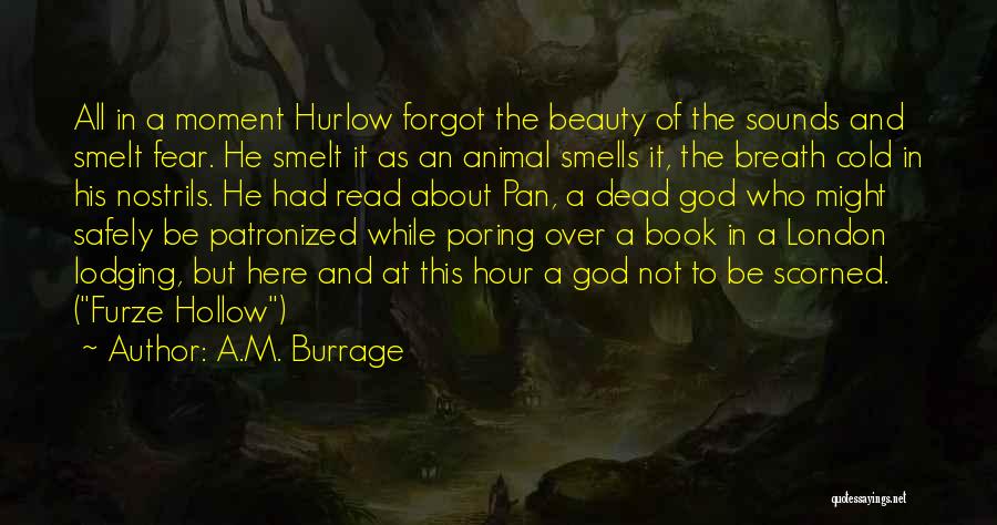 Scorned Quotes By A.M. Burrage