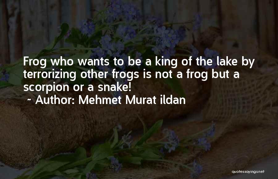 Scorpion Quotes By Mehmet Murat Ildan