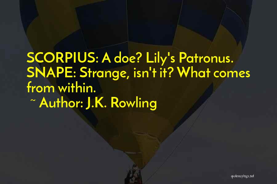 Scorpius Quotes By J.K. Rowling