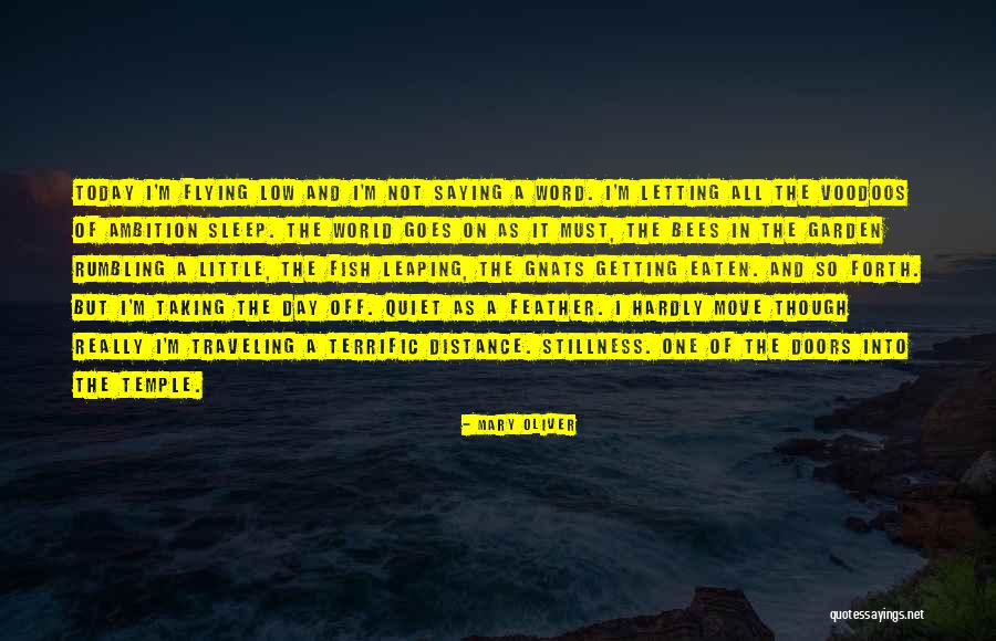 Scorsone Automotive Milwaukee Quotes By Mary Oliver Scorsone Automotive Milwaukee Quotes By Mary Oliver
