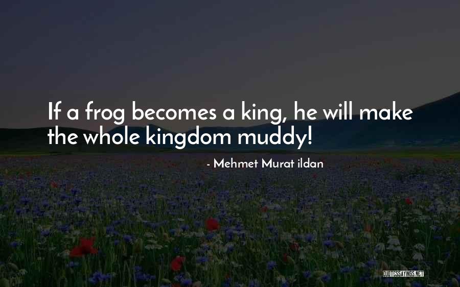 Scoti Quotes By Mehmet Murat Ildan Scoti Quotes By Mehmet Murat Ildan