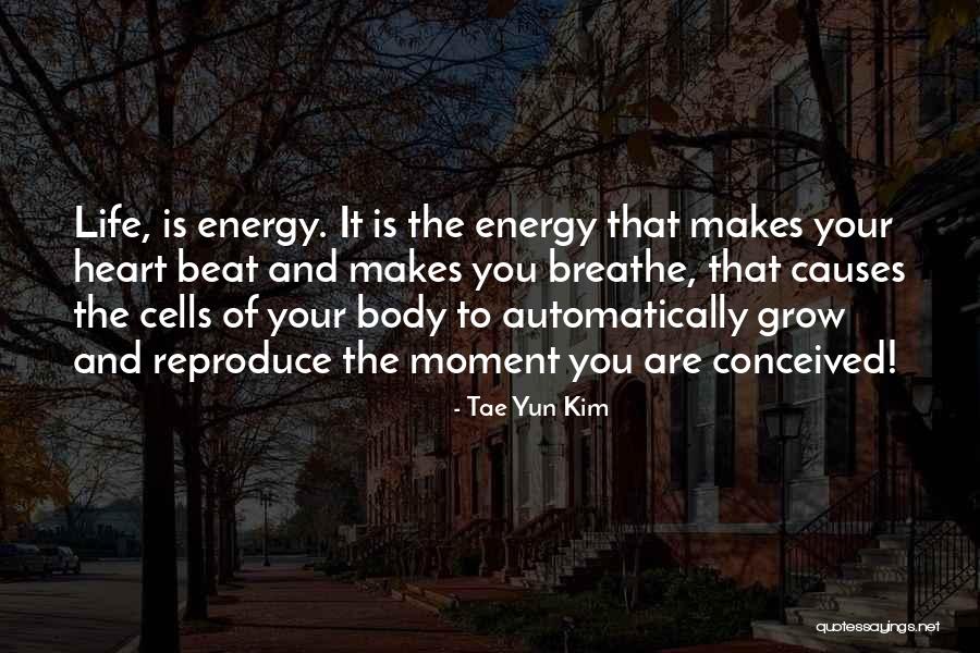 Scotian Shelf Quotes By Tae Yun Kim Scotian Shelf Quotes By Tae Yun Kim