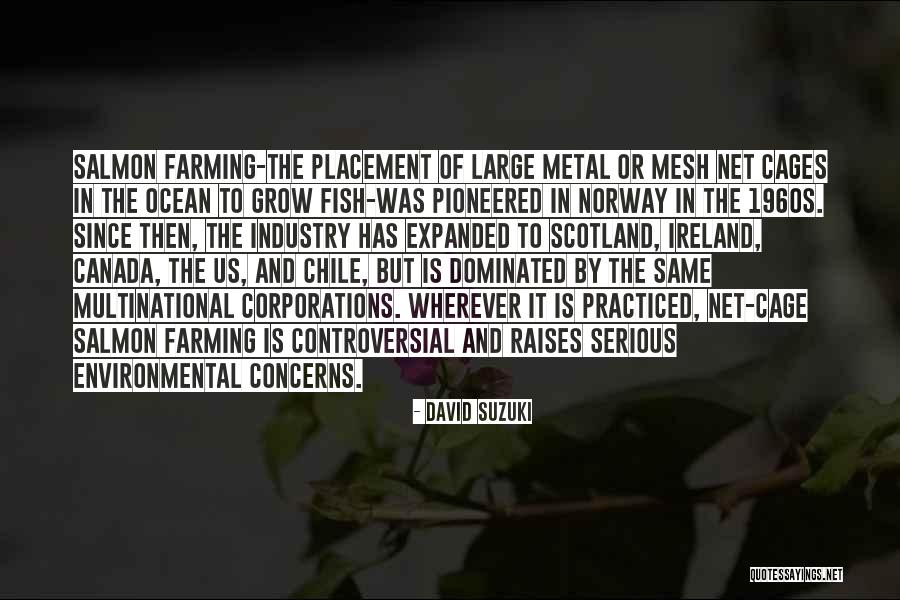Scotland And Ireland Quotes By David Suzuki Scotland And Ireland Quotes By David Suzuki