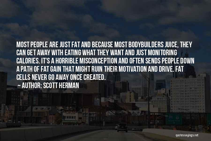 Scott Herman Quotes 437091