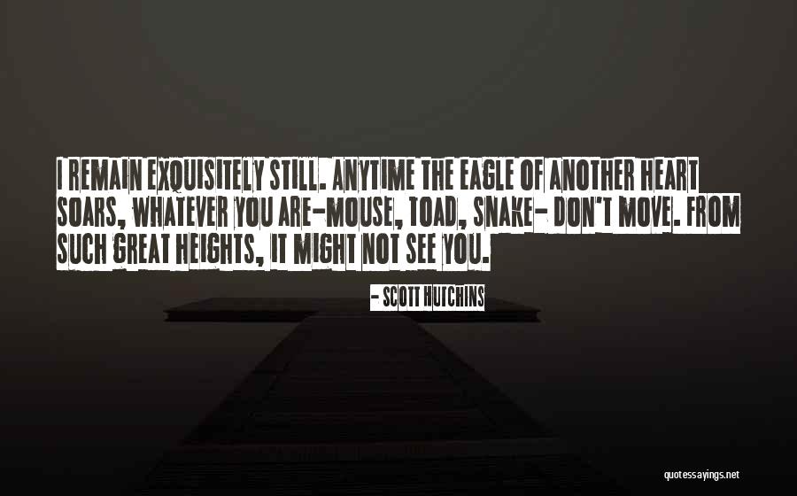 Scott Hutchins Quotes 2135373 Scott Hutchins Quotes 2135373