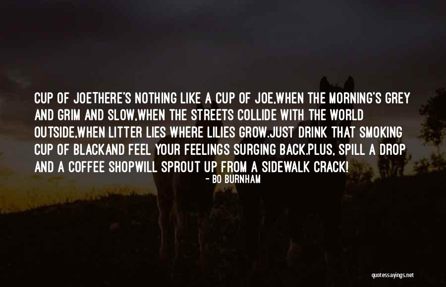 Scott Ludlam Speech Quotes By Bo Burnham Scott Ludlam Speech Quotes By Bo Burnham