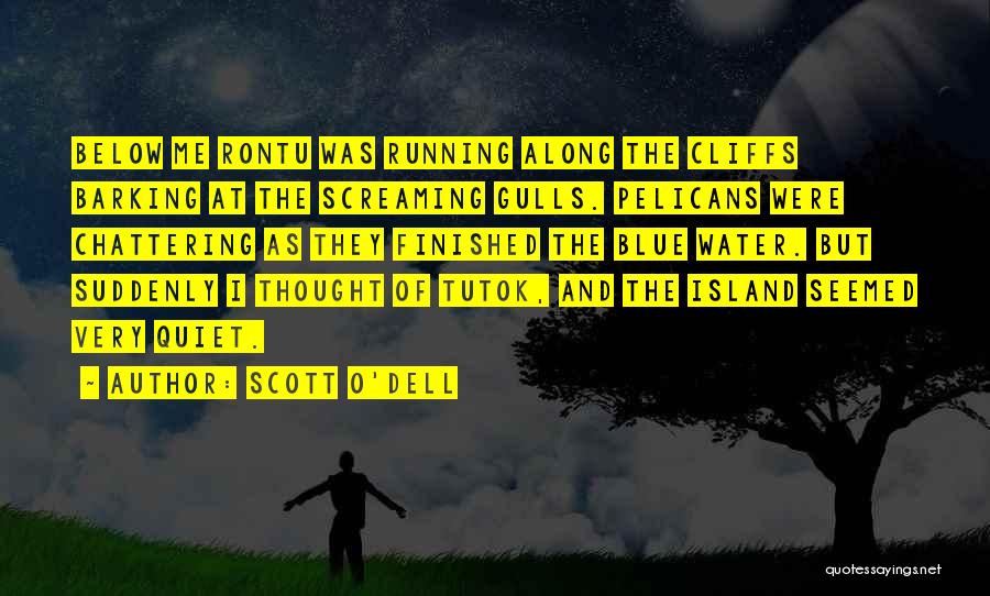 Scott O'Dell Quotes 1910081
