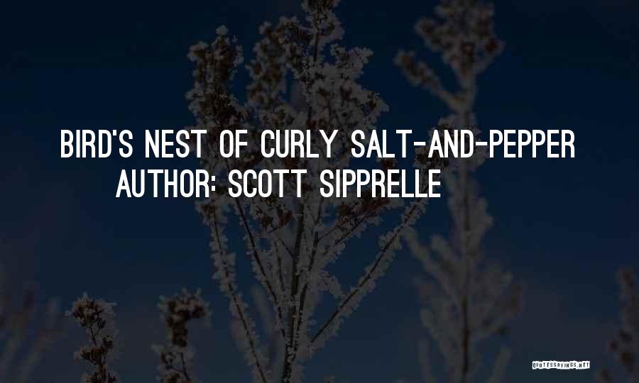 Scott Sipprelle Quotes 496789