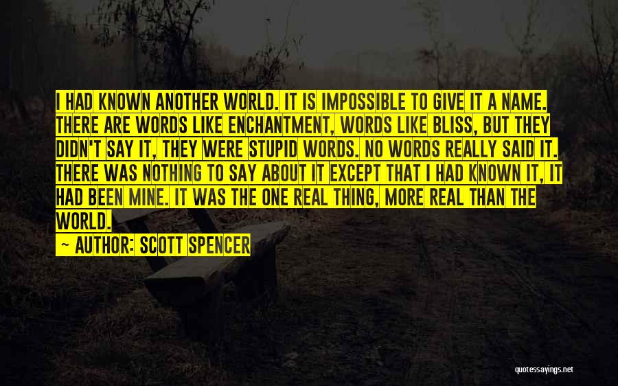 Scott Spencer Quotes 1581698