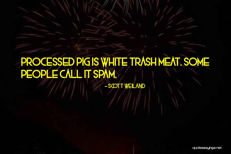 Scott Weiland Quotes 79781 Scott Weiland Quotes 79781