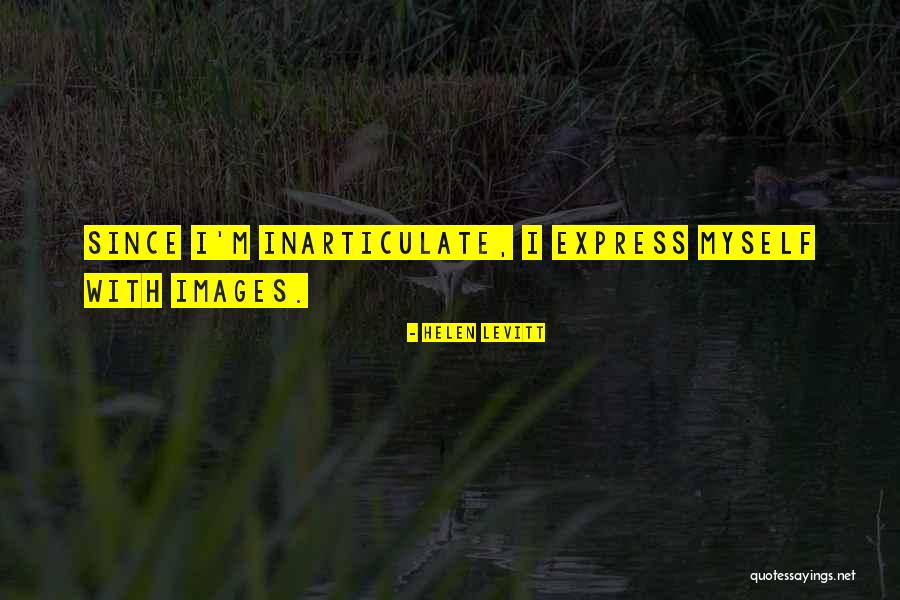 Scottie Pippin Quotes By Helen Levitt Scottie Pippin Quotes By Helen Levitt