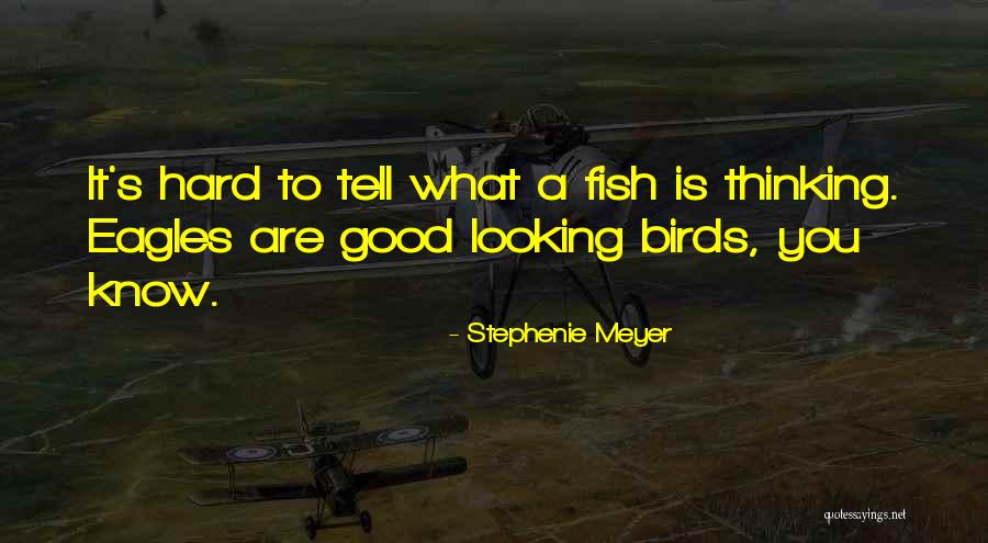 Scottie Pippin Quotes By Stephenie Meyer Scottie Pippin Quotes By Stephenie Meyer