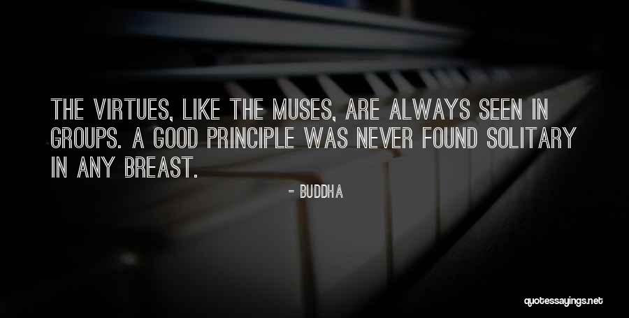 Scotton Quotes By Buddha Scotton Quotes By Buddha
