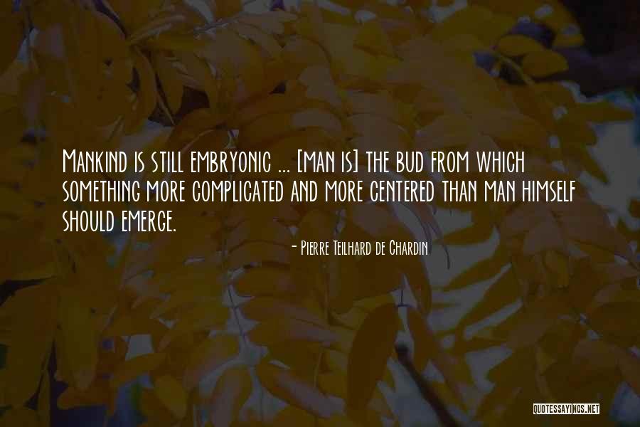 Scourer Quotes By Pierre Teilhard De Chardin Scourer Quotes By Pierre Teilhard De Chardin
