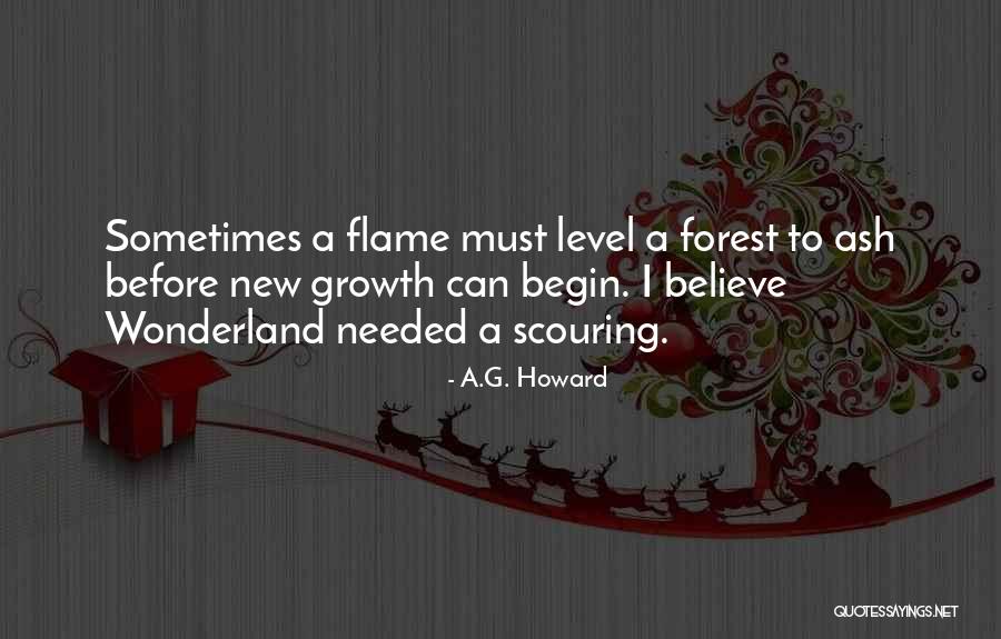 Scouring Quotes By A.G. Howard
