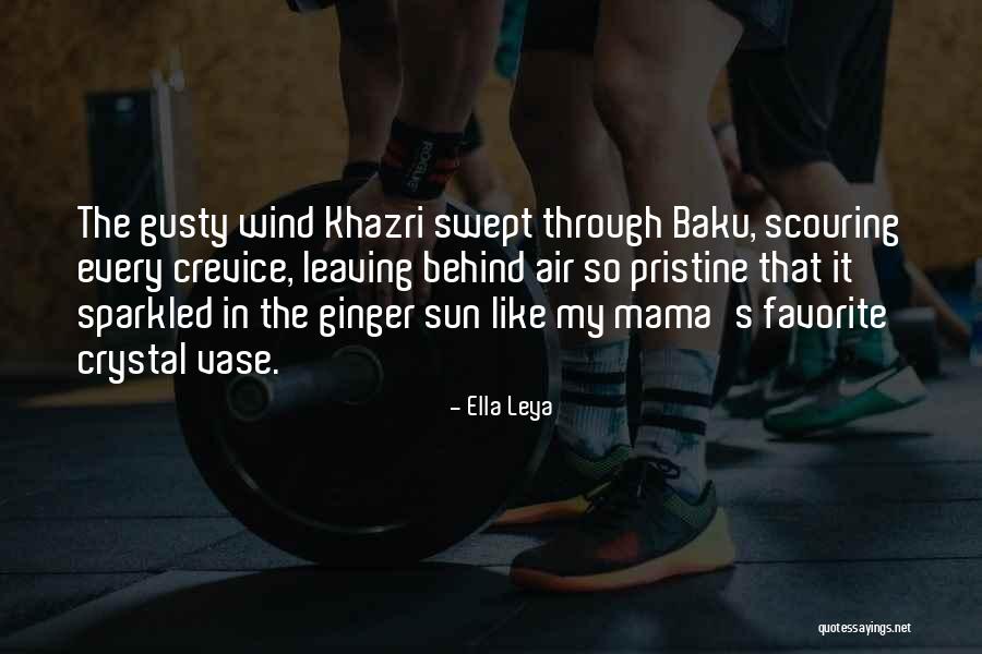 Scouring Quotes By Ella Leya