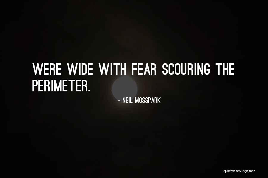 Scouring Quotes By Neil Mosspark
