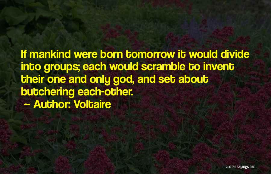 Scramble Quotes By Voltaire