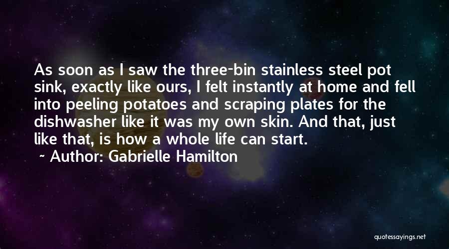 Scraping Quotes By Gabrielle Hamilton