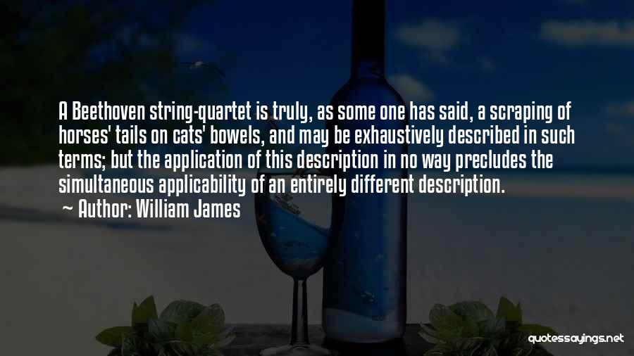 Scraping Quotes By William James