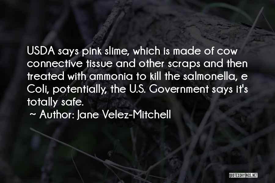 Scraps Quotes By Jane Velez-Mitchell