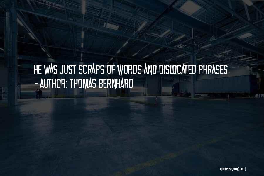 Scraps Quotes By Thomas Bernhard