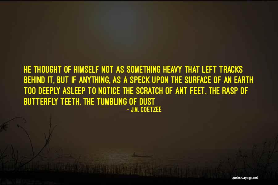 Scratch The Surface Quotes By J.M. Coetzee