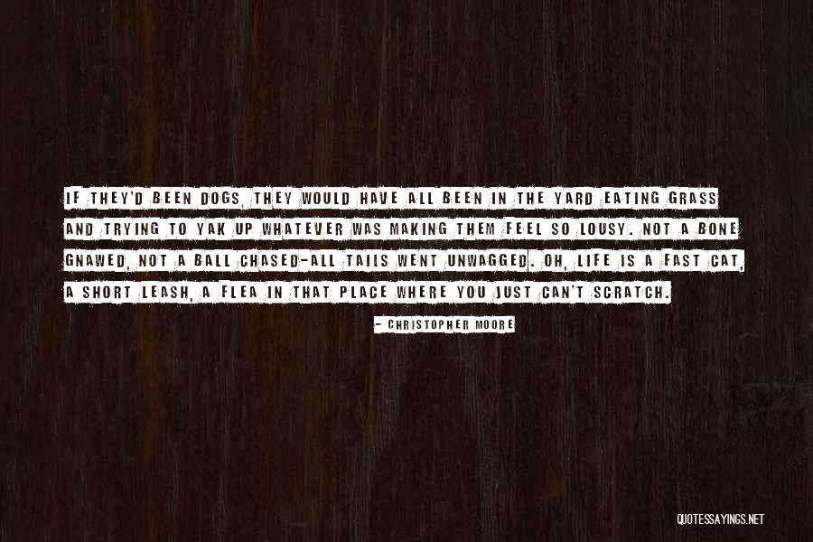 Scratch You Quotes By Christopher Moore Scratch You Quotes By Christopher Moore